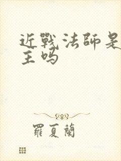 近战法师是双男主吗封面