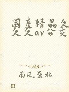 国产精品久久久久久av公交车