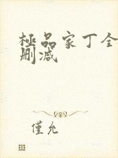 极品家丁全文无删减
