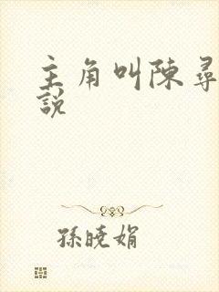 主角叫陈寻的小说