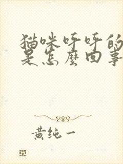 猫咪呼呼的声音是怎么回事