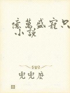 亿万盛宠只为你 小说