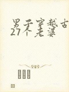 男子穿越古代娶27个老婆封面