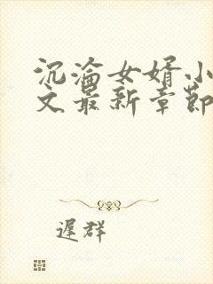 沉沦女婿小说全文最新章节更新时间