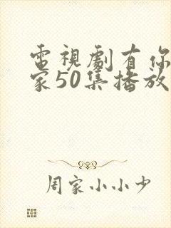 电视剧有你才有家50集播放封面