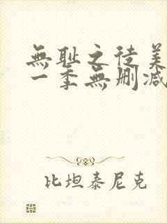 无耻之徒美版第一季无删减版