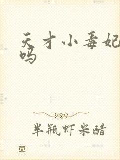 天才小毒妃好看吗封面