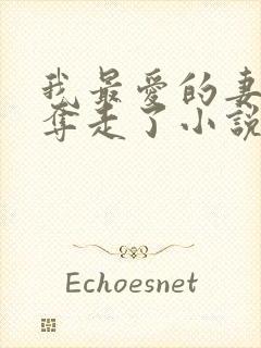 我最爱的妻子被夺走了小说封面