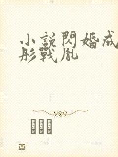 小说闪婚成宠海彤战胤