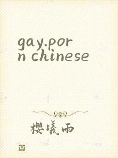 gay.porn chinese