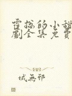 霍总的小甜妻短剧全集免费观看