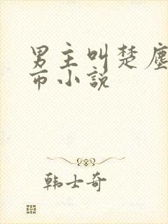 男主叫楚尘的都市小说