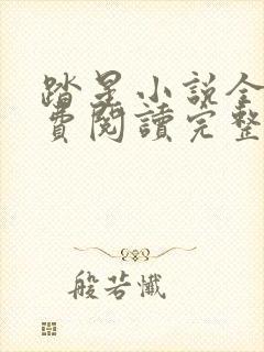 踏星小说全文免费阅读完整版