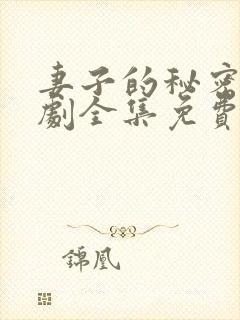 妻子的秘密电视剧全集免费完整版