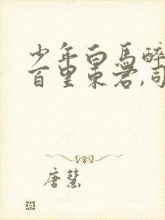 少年白马醉春风百里东君,司空长风