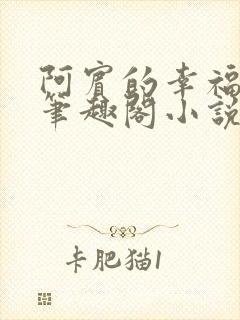 阿宾的幸福生活笔趣阁小说
