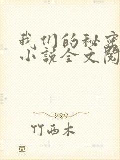 我们的秘密原著小说全文阅读
