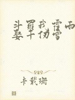 斗罗我霍雨浩迎娶千仞雪封面