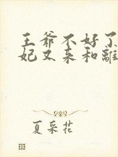 王爷不好了,王妃又来和离了完整版封面