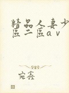 精品人妻少妇一区二区aⅴ封面