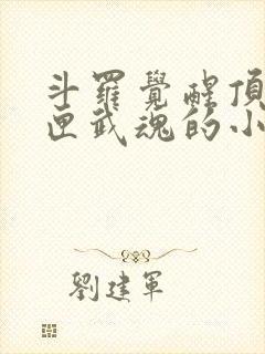 斗罗觉醒顶级剑匣武魂的小说