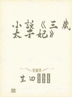 小说《三岁冲喜太子妃》