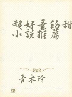 超好看的甜宠文小说推荐封面