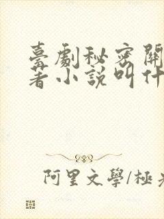 台剧秘密关系原著小说叫什么封面