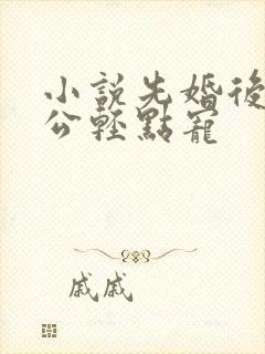 小说先婚后爱老公轻点宠