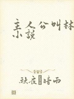 主人公叫林宇的小说封面