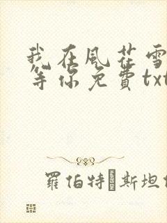 我在风花雪月里等你免费txt下载