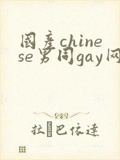 国产chinese男同gay网站