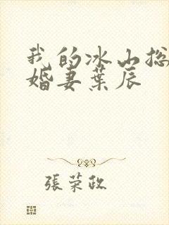 我的冰山总裁未婚妻叶辰