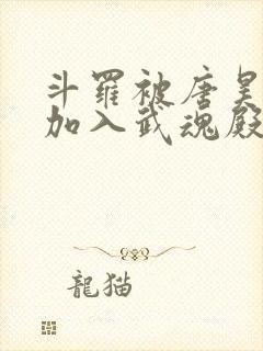 斗罗被唐昊抛弃加入武魂殿的小说