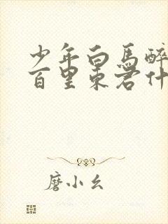 少年白马醉春风百里东君什么境界