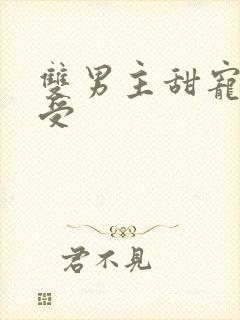 双男主甜宠娇气受封面