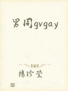 男同gvgay封面