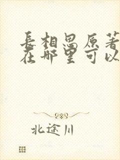 长相思原著小说在哪里可以看