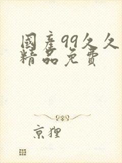 国产99久久久精品免费封面