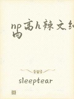 np高h辣文纯肉
