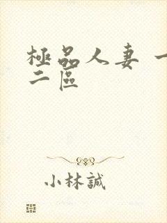 极品人妻 一区二区封面