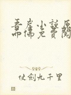 吾岸小说原著四面佛免费阅读