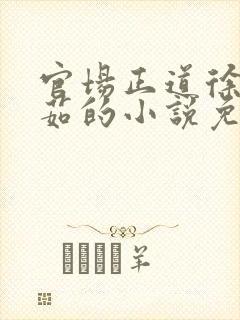 官场正道徐浪郑茹的小说免费阅读