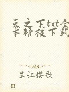 天之下txt全本精校下载