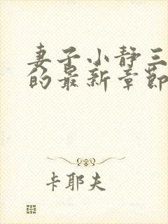 妻子小静三部曲的最新章节