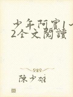 少年阿宾1～72全文阅读