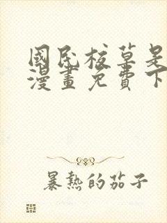 国民校草是女生漫画免费下拉式