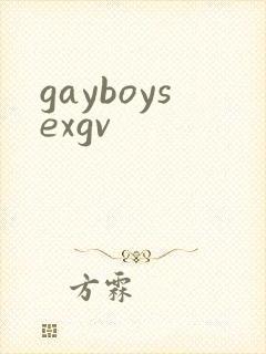 gayboysexgv