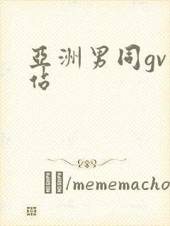亚洲男同gv网站