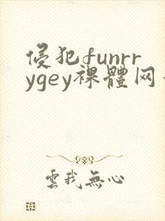 侵犯funrrygey裸体网站